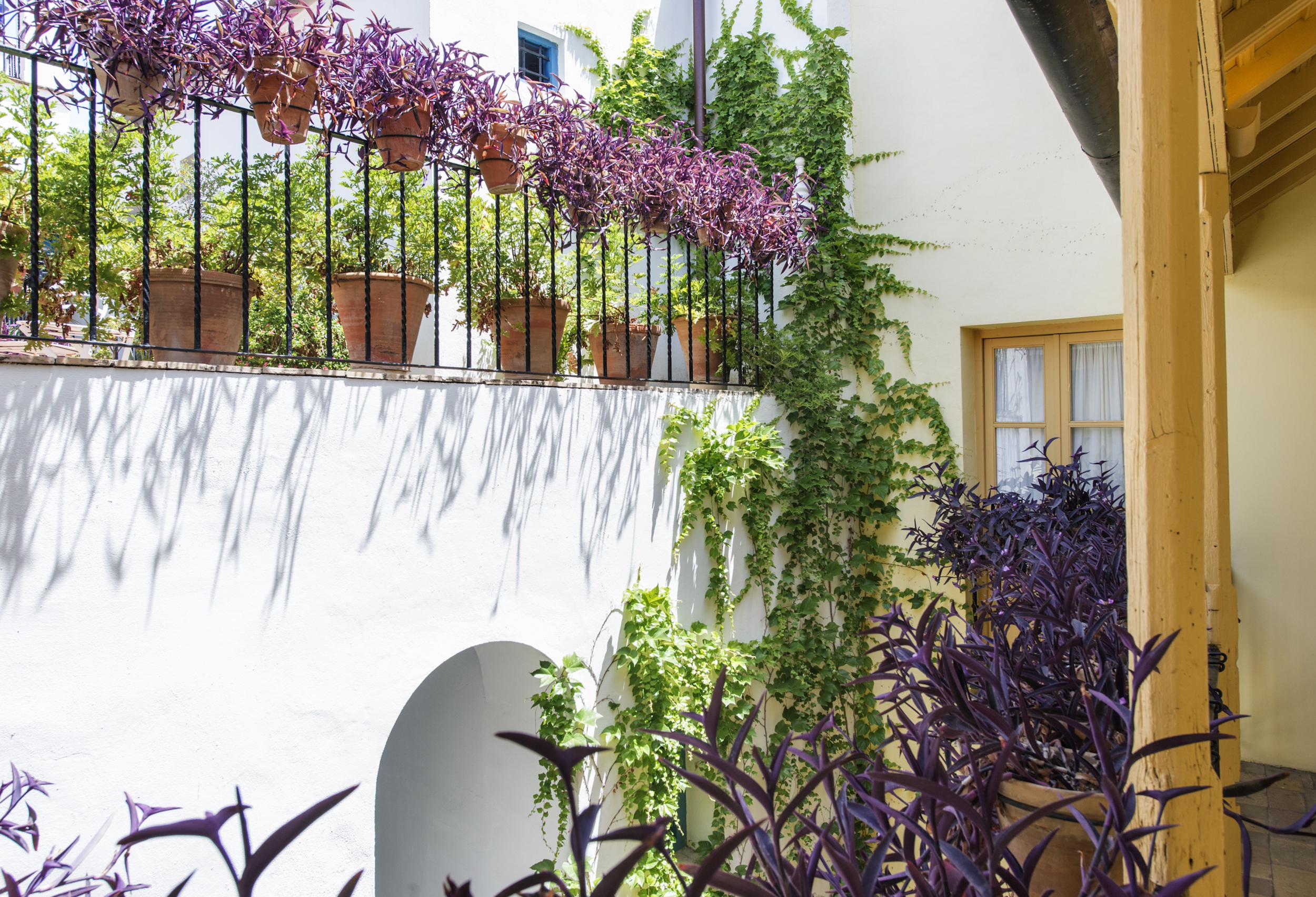 Hotel Las Casas De La Juderia Севилья Экстерьер фото